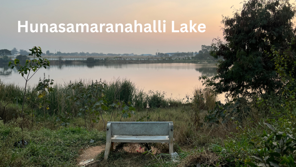 Hunasamaranahalli Lake Overlooking Yelahanka Air Force Station